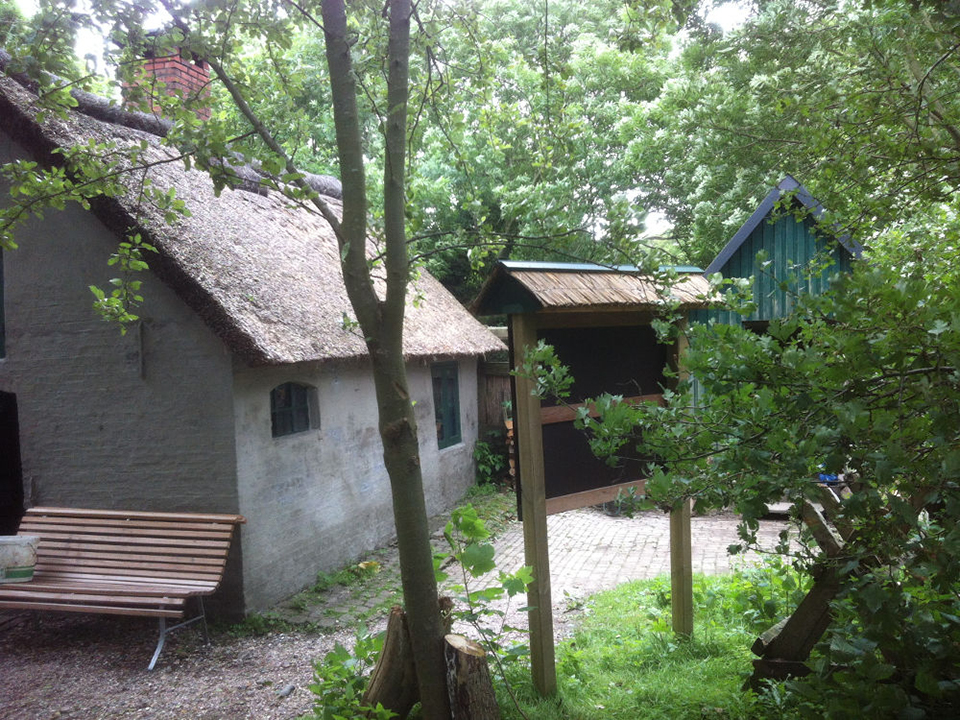 Boldixumer Vogelkoje